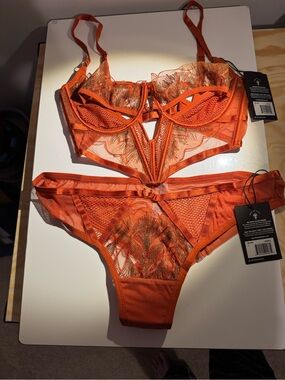 NWT (L) Thistle & Spire Kyra Bustier & Matching Bikini Panty, Flame Orange